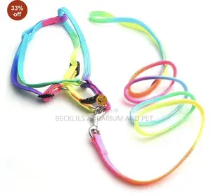 Rainbow Leash With Harness Available for Small Dogs