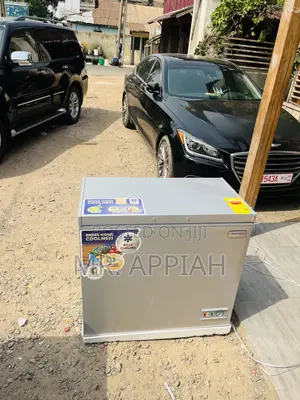 Stay Chill With Nasco Nas-250fl, 200l 1 Door Freezer.