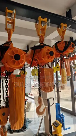 Raptor Lifting Hoist