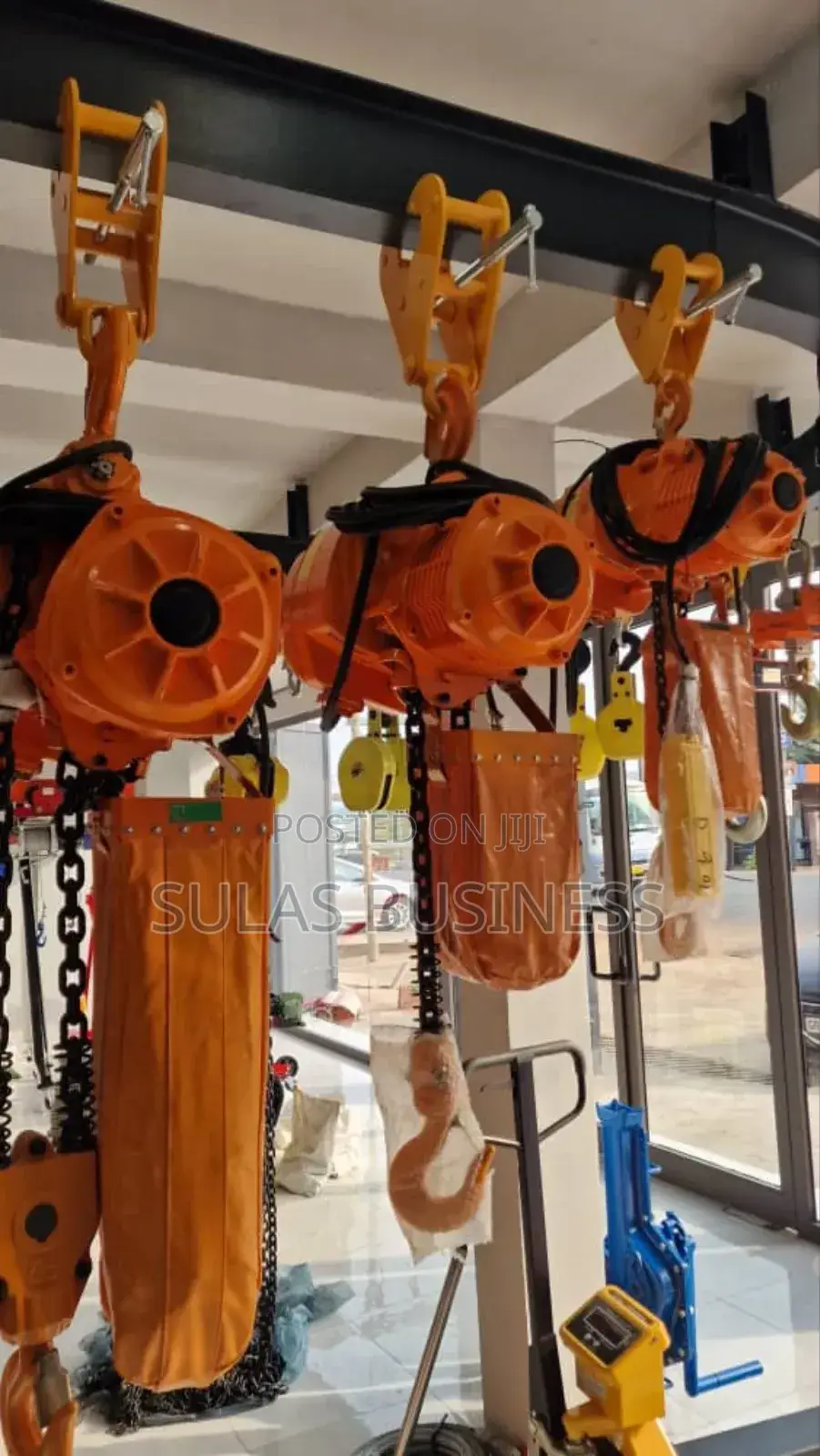 Raptor Lifting Hoist