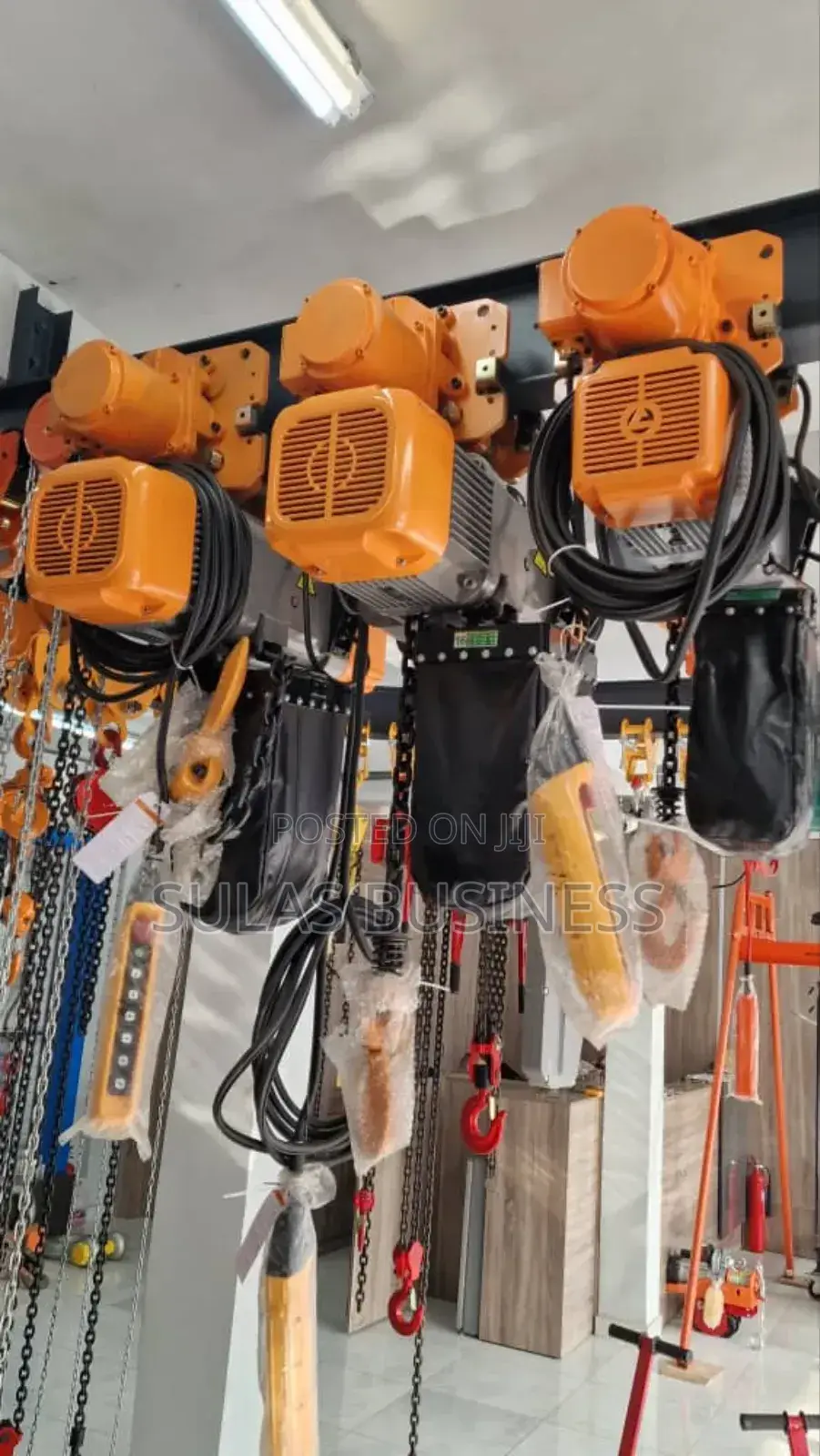 Raptor Lifting Hoist