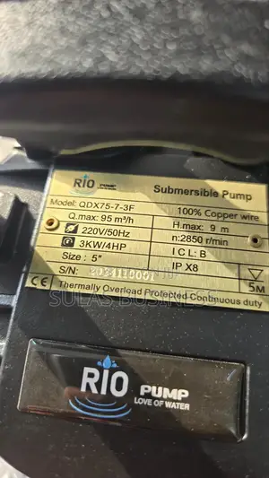 4.0 Hp Sewage Electric Pump