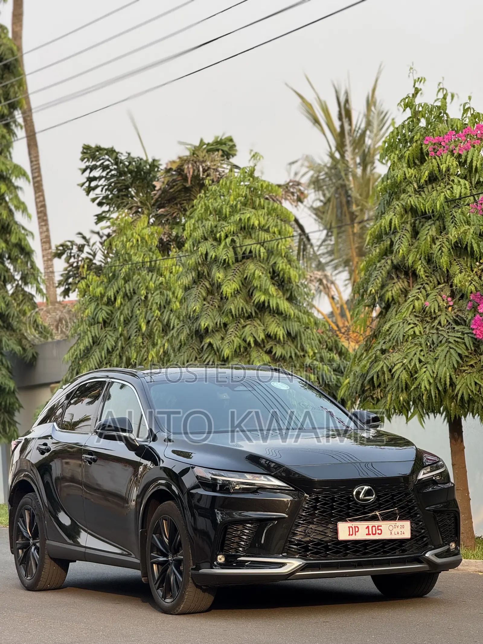 Lexus RX 2024 Black