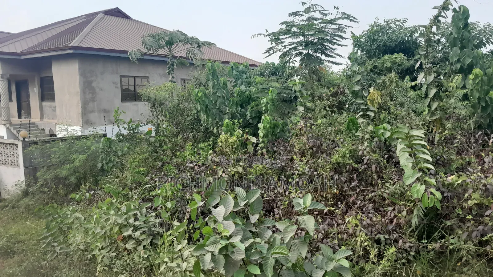 Plot for Sale at Essipon Benedict