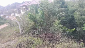 Plot for Sale at Essipon Benedict