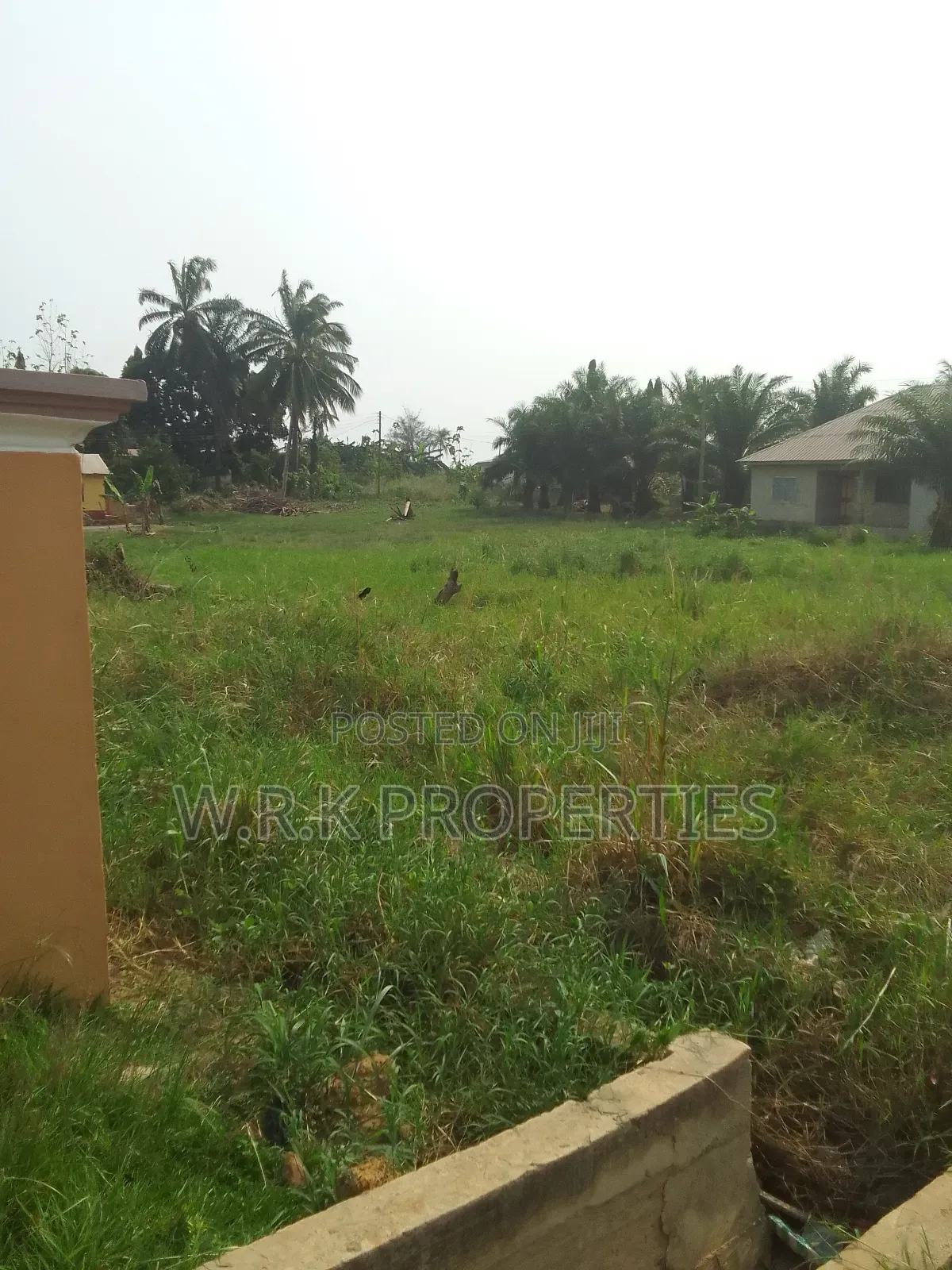 3 Plots of Land for Sale