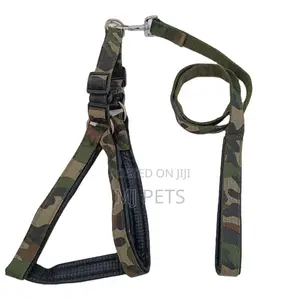 Military Nylon Leash and Harness for Big Dogs