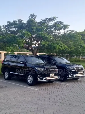 Car Rentals Services
