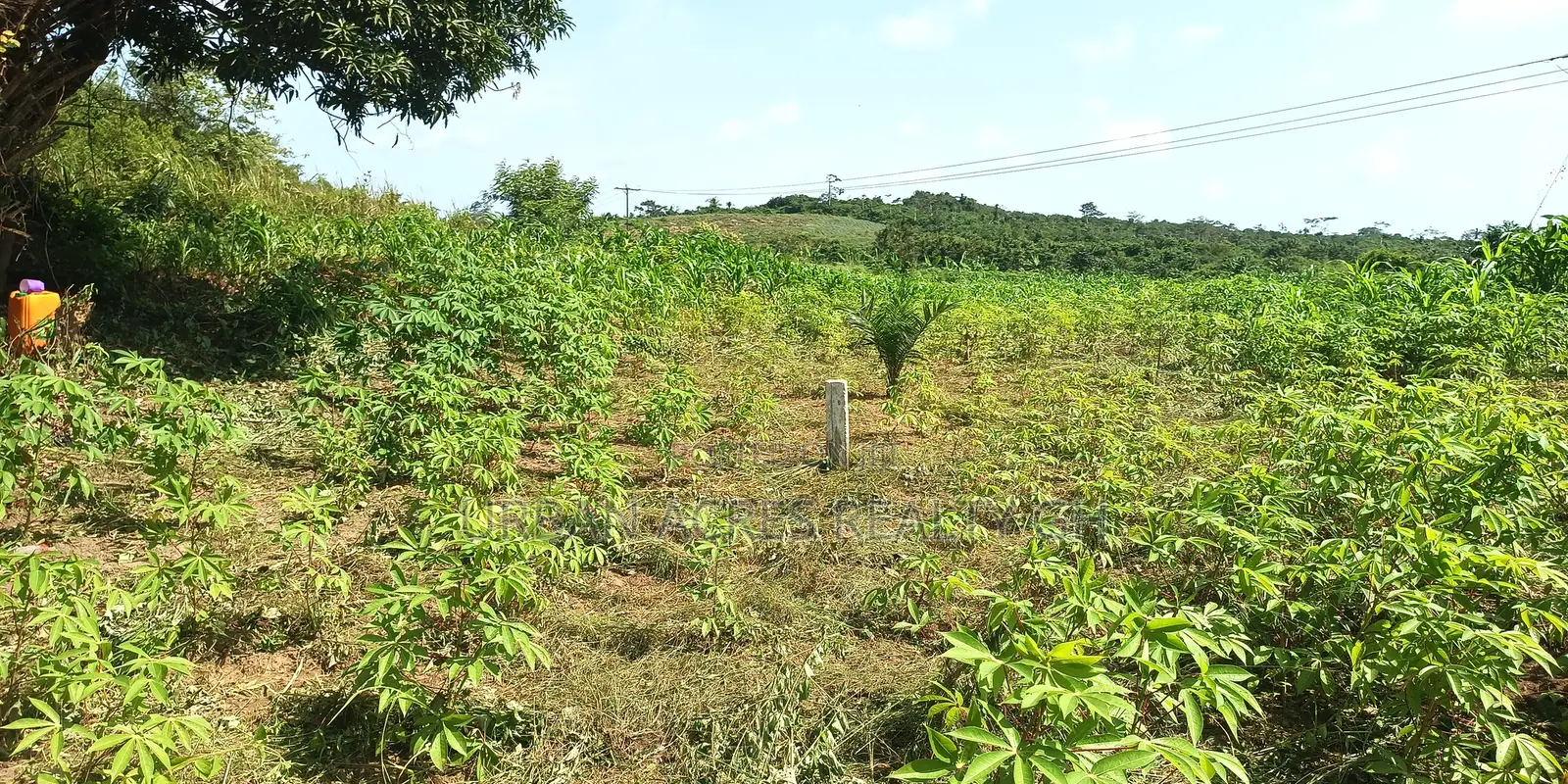 KOFORIDUA (PANTOASE), EASTERN REGN _ 10 Plots Building Land
