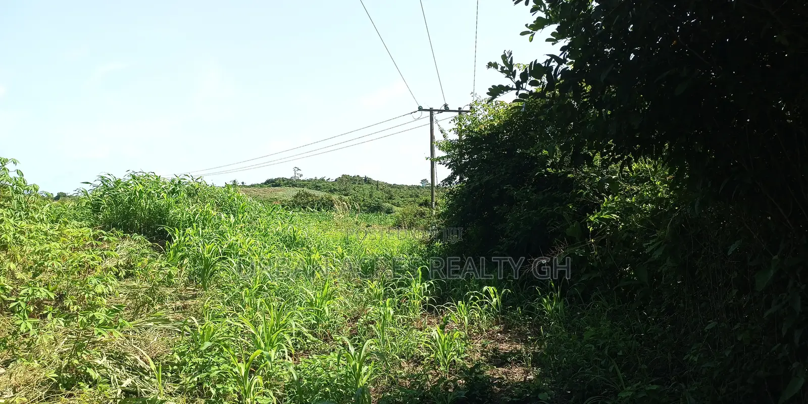 KOFORIDUA (PANTOASE), EASTERN REGN _ 10 Plots Building Land