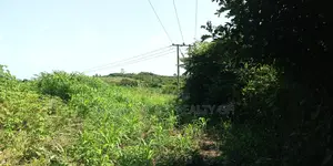 KOFORIDUA (PANTOASE), EASTERN REGN _ 10 Plots Building Land