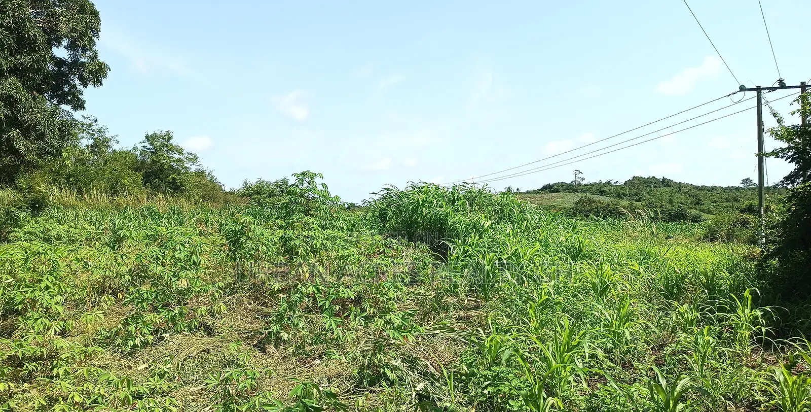 KOFORIDUA (PANTOASE), EASTERN REGN _ 10 Plots Building Land
