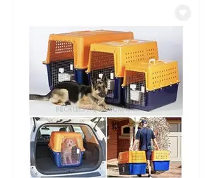 Large Portable Dog Create Available