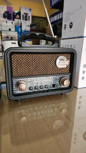 Microdigit Rechargeable Radio Speaker