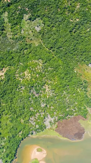 55 Acre Beach Land For Sale At Takoradi