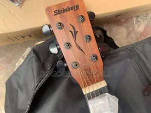 Strinburg Forest Series Simi-Acoustic Guitar