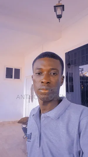 Sales and Marketing Agent