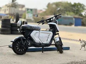 New Yamaha FZ 2024 White