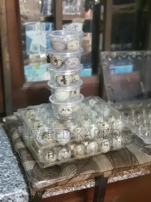Quail Eggs