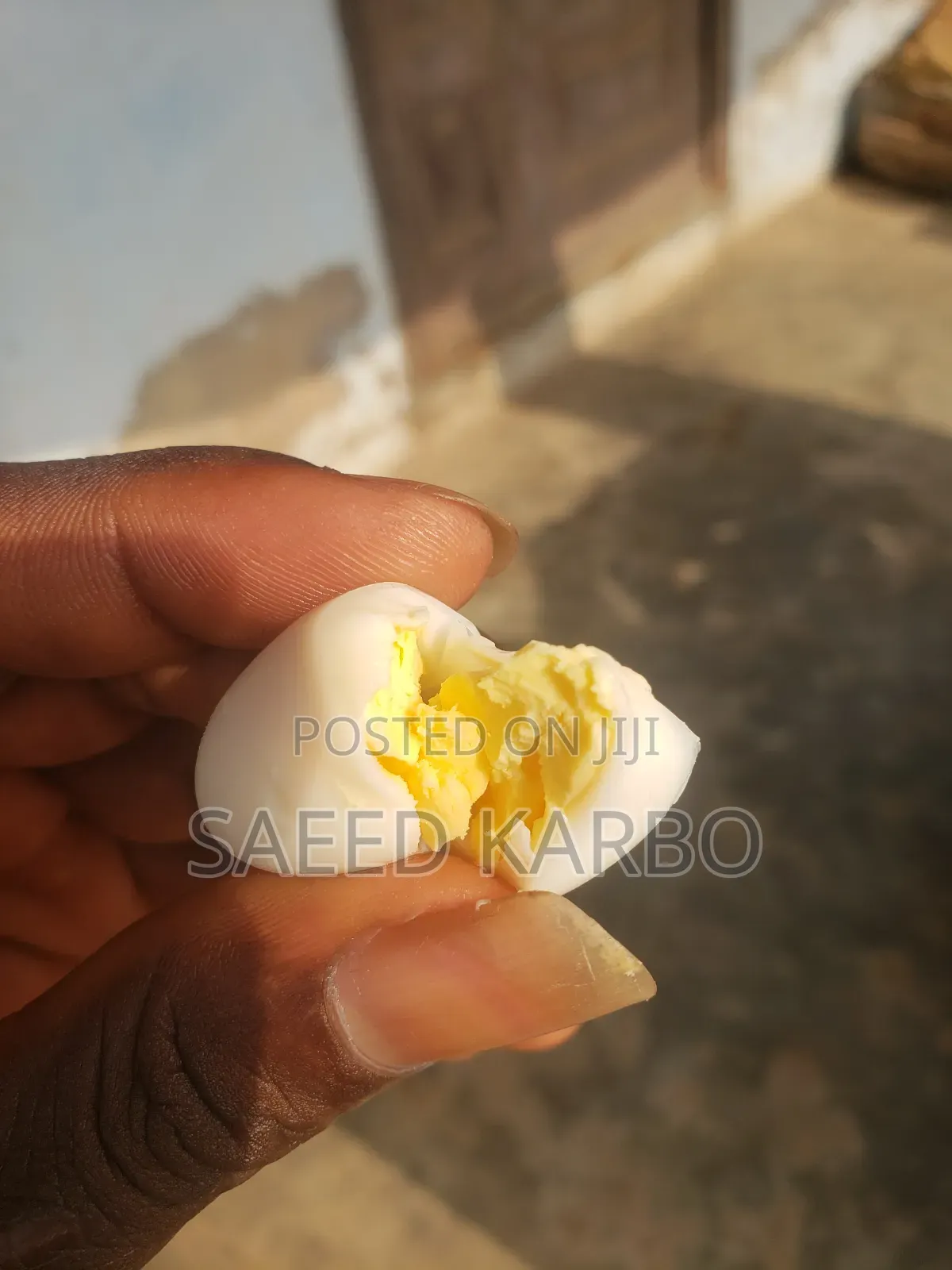 Quail Eggs