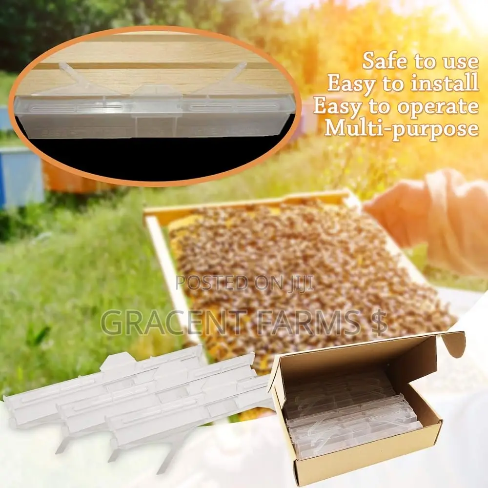 Small Hive Beetle Trap