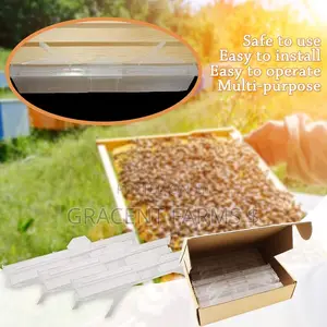 Small Hive Beetle Trap