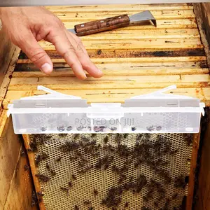 Small Hive Beetle Trap