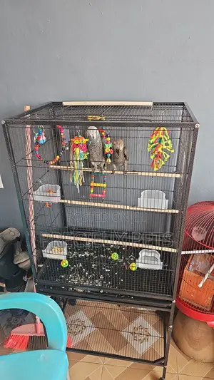 XXXL Parrot Cage