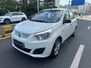 Dongfeng EV EX1 33 kW FWD 2020 White