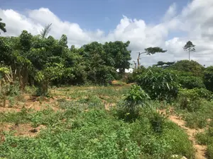 More Farm Land for Sale at Ejisu Atia Kotie Cool Prices