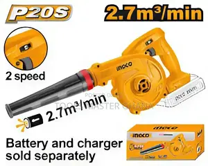 Cordless Blower - Cabli20018