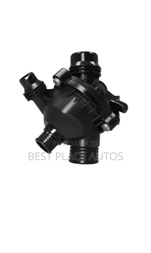 BMW 532I Thermostat
