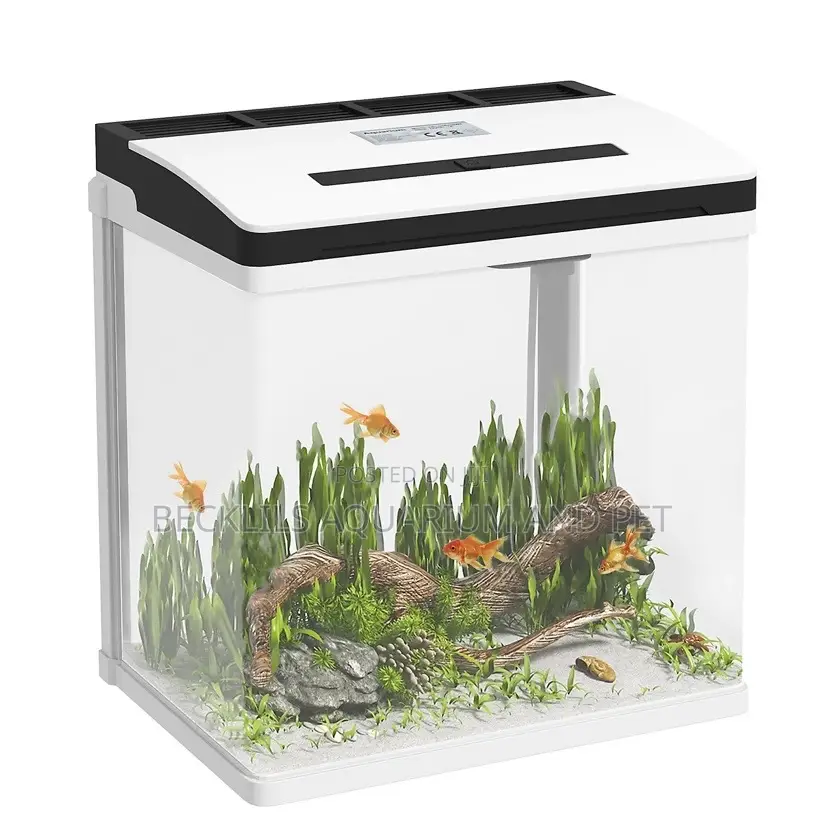 Aquarium Fish Tank