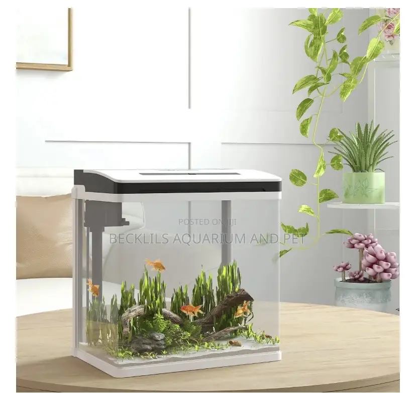 Aquarium Fish Tank