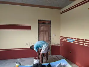 Professional Painter and Designer