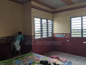 Professional Painter and Designer