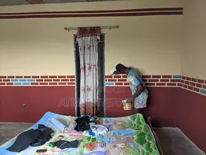 Professional Painter and Designer
