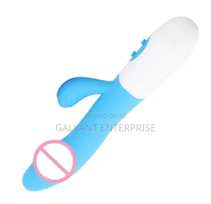 Generic Rabbit Vibrator Sex Toy