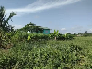 Plots of Land for Sale at Akraman-Akotsi Junction