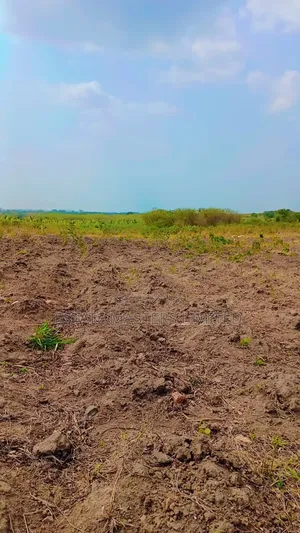 Greeny Lands. Best Fit for Your Dream Home.