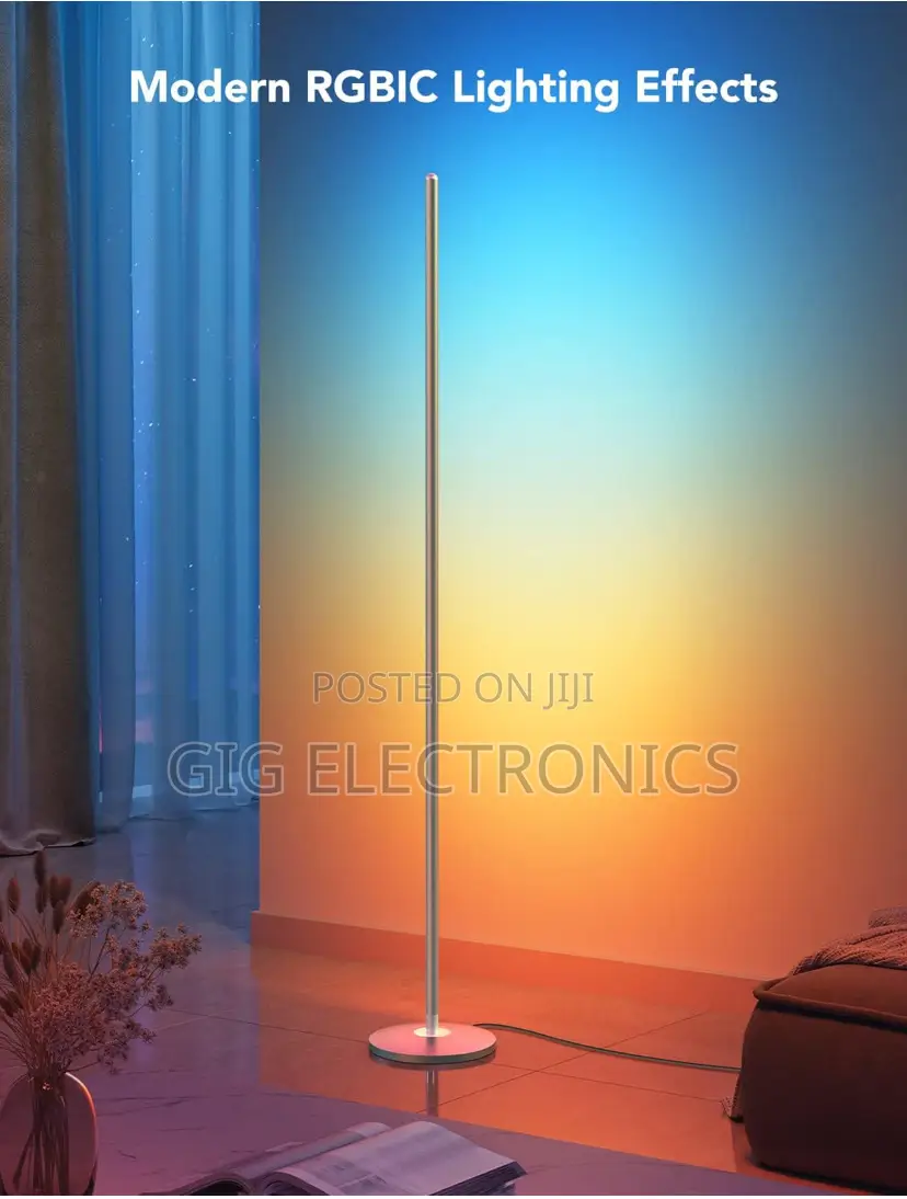 Govee RGBIC Floor Lamp Basic