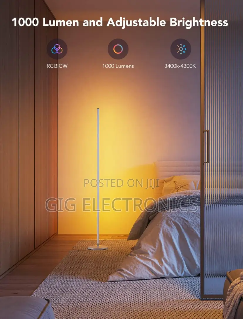 Govee RGBIC Floor Lamp Basic