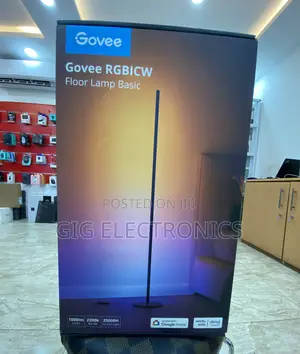 Govee RGBIC Floor Lamp Basic