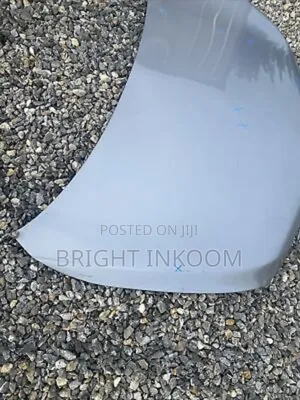 Acura RDX 2016 2017 2018 Bonnet