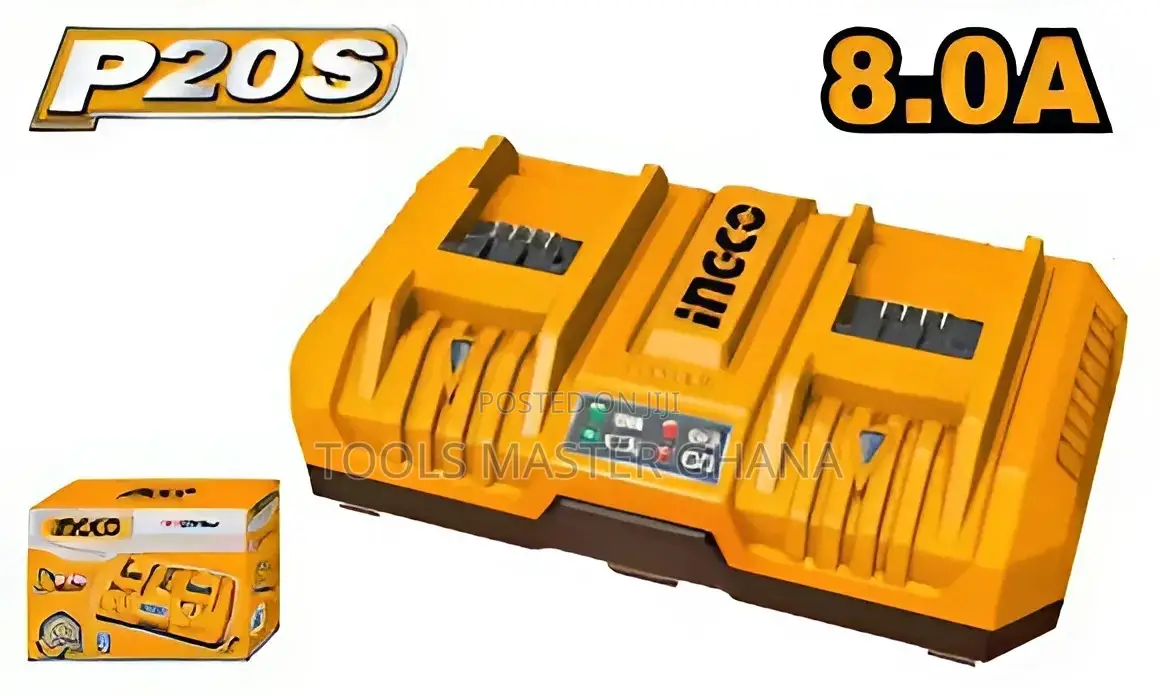 P20s Battery Charger - Fcli2082