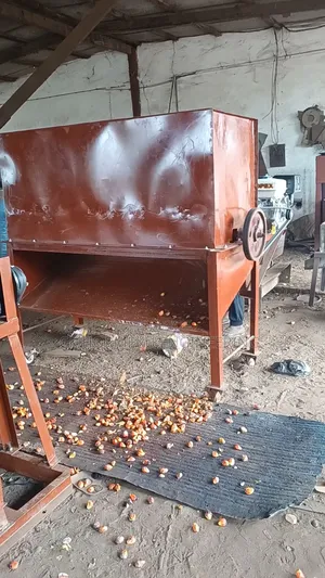 Industrial Palm Fruit Bunch Remover