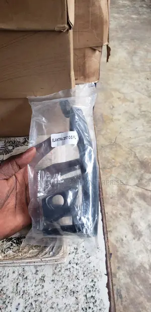 Hyundai Elantra 2017 Outside Door Handle