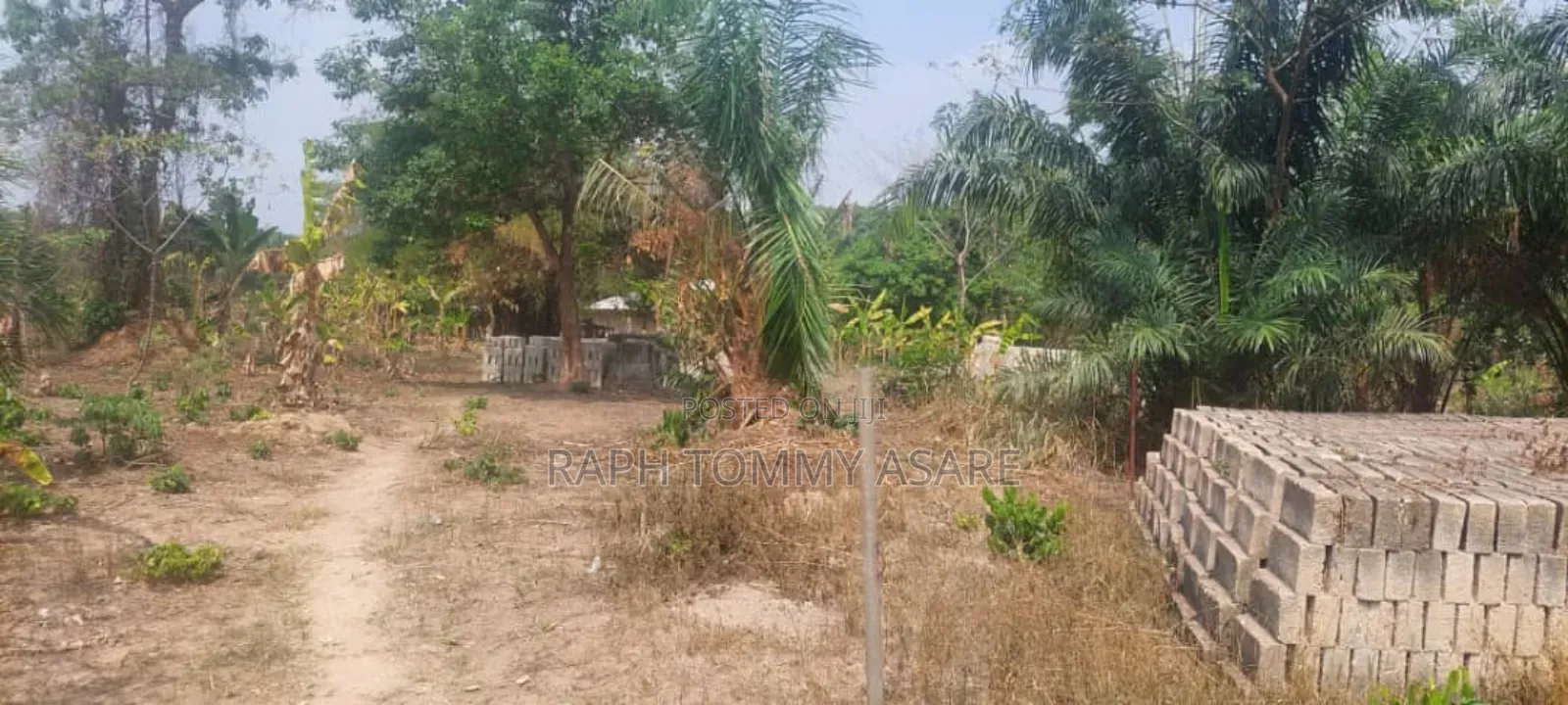 3 Plots of Land Located at Kwabere Kasaam for Sale