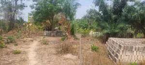3 Plots of Land Located at Kwabere Kasaam for Sale
