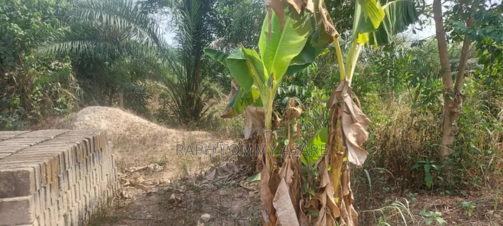 3 Plots of Land Located at Kwabere Kasaam for Sale